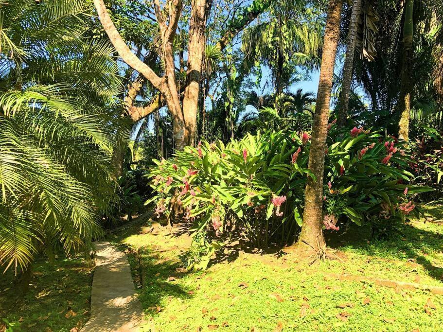 בוקס דל טורו Villa Del Idaan מראה חיצוני תמונה